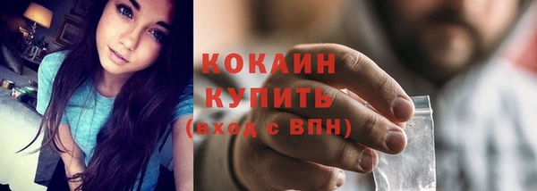 ешки Домодедово