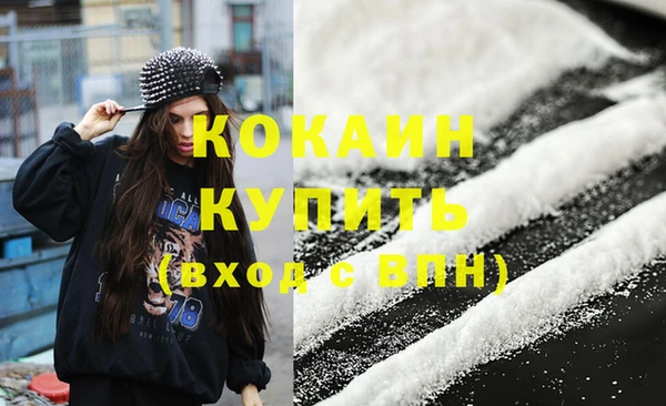 прущие грибы Абинск