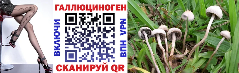 хочу наркоту  Усть-Лабинск  Галлюциногенные грибы мицелий 