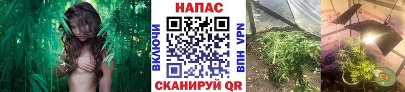 МЕГА ссылка  Усть-Лабинск  Конопля марихуана  цена  
